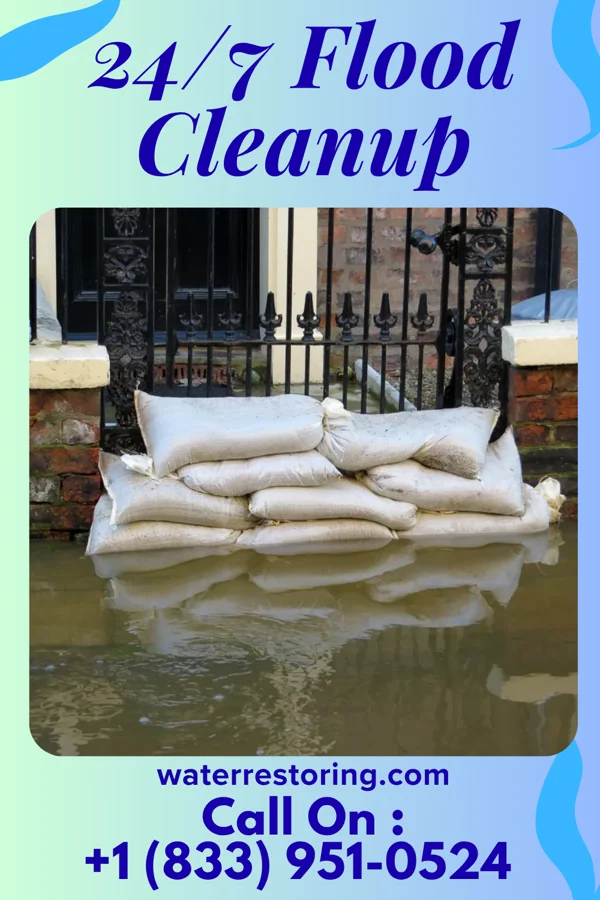 24/7 Flood Cleanup in Dranesville, VA
