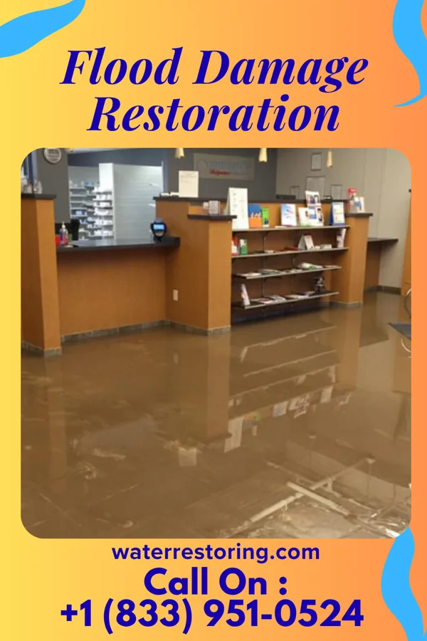 Flood Damage Restoration in Dranesville, VA